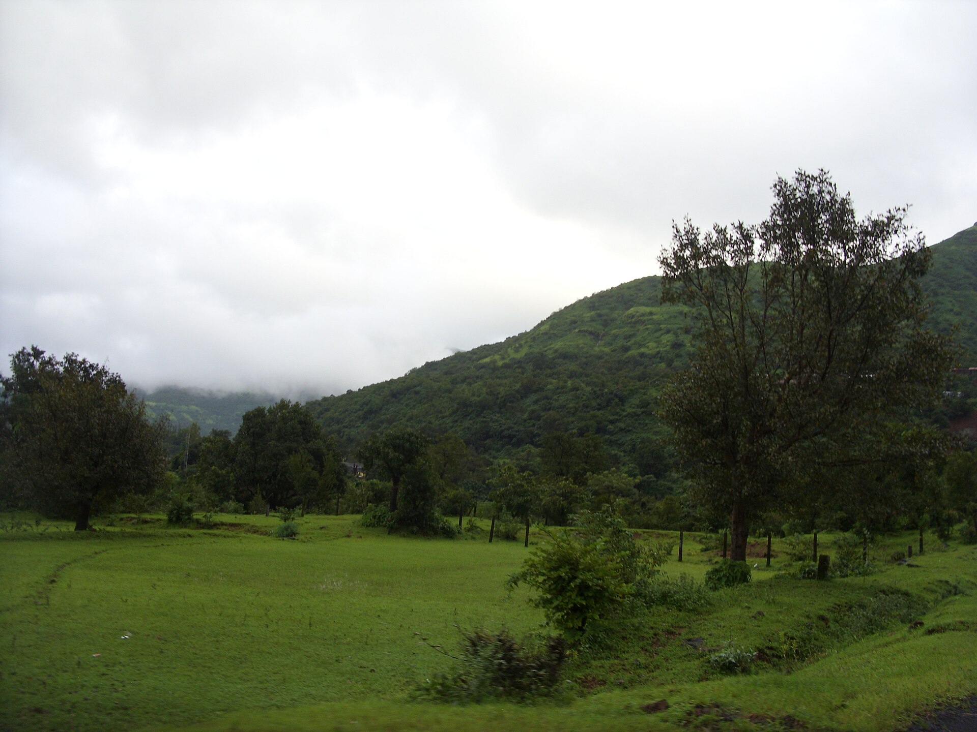 Amboli