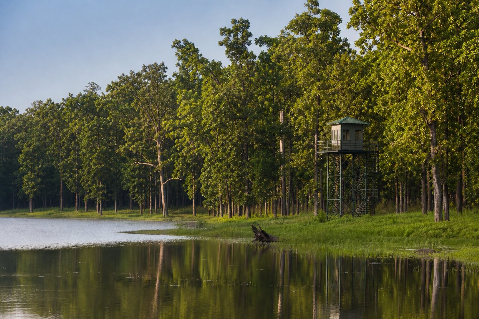 Navegaon National Park